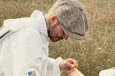 回归田园生活！贝克汉姆晒自家蜜蜂庄园取蜂蜜照片