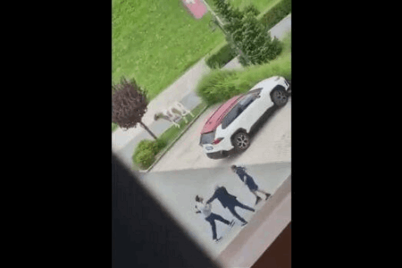 奇葩！意甲主帅总监互殴 怒骂老板傻X 球员偷拍视频爆料 