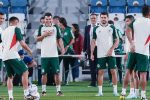 赛前爆料: 世界杯情报：墨西哥参赛球员默契度高，莱万力争世界杯首球