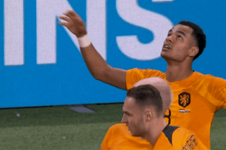 加克波连场破门！荷兰1-0领先厄瓜多尔！