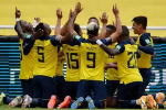 赛前爆料: 世界杯情报：厄瓜多尔前锋连场破门，塞内加尔门神状态回升