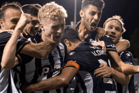 澳超情报：一周双赛麦克阿瑟体能有隐忧，惠灵顿主力门将状态不俗