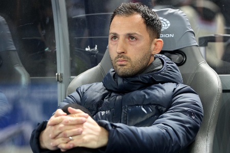 外媒：比利时足协对特德斯科很满意，欧洲杯后他会继续留任