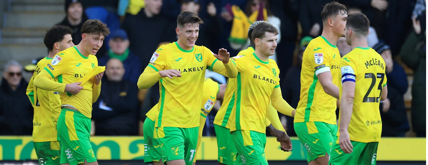 英冠情报：诺维奇主力中锋复出，沃特福德 4 将缺阵！